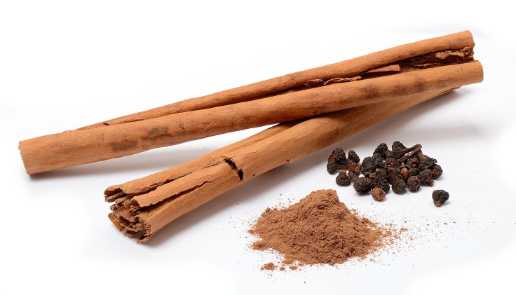 1920px-Cinnamomum_verum_spices